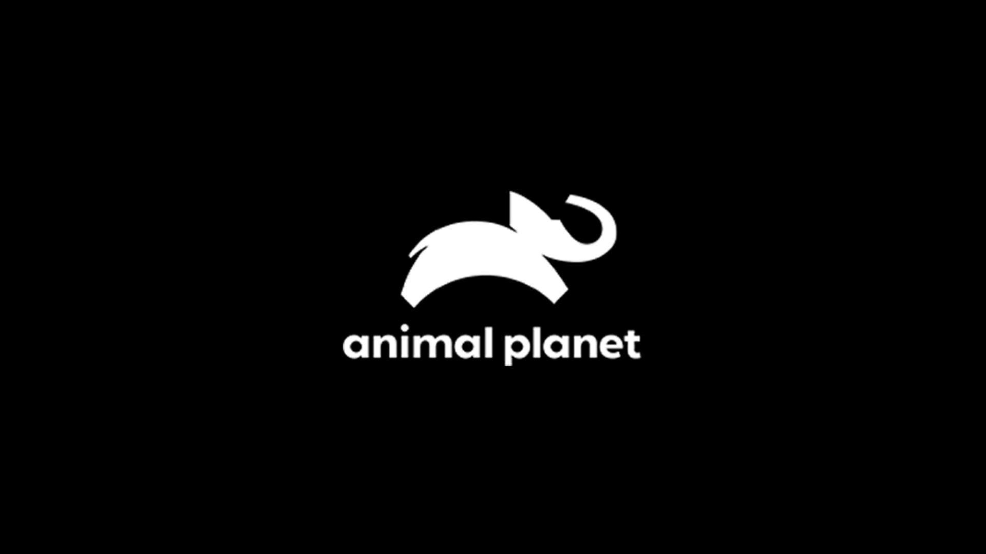 Animal Planet ao vivo,Animal Planet online,assistir Animal Planet,assistir Animal Planet ao vivo,assistir Animal Planet online,Animal Planet gratis,assistir Animal Planet gratis,ao vivo online,ao vivo gratis,ver Animal Planet,ver Animal Planet ao vivo,ver Animal Planet online,24 horas,24h,multicanais,piratetv,futtemax.live